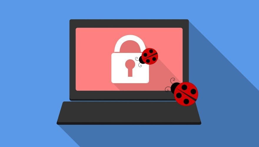 Bugurile și viața unui programator